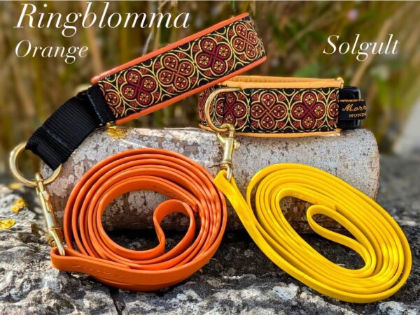 ringblomma Tegel orange
